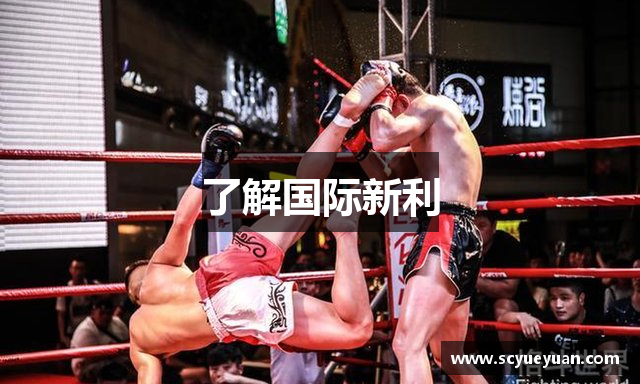 了解国际新利