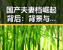国产夫妻档崛起背后:背景与影响深度解读