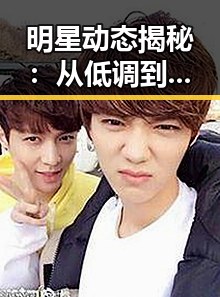 明星动态揭秘:从低调到爆红的背后故事