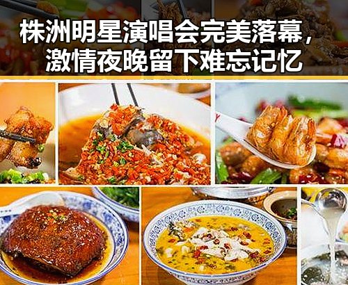 株洲明星演唱会完美落幕，激情夜晚留下难忘记忆