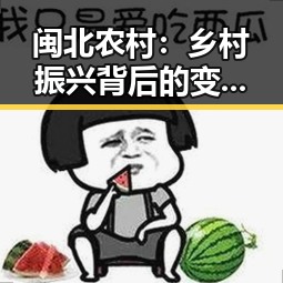 闽北农村：乡村振兴背后的变化与未来